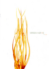 GREEN NERVE 会報 No.019 GREEN NERVE 会報 No.019